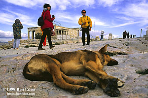 Two japanese tourists visiting Greece walk on Acropolis, Athens next to a sleeping German Shepherd dog with a chewing gum sticking to his paw.