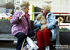 Two funny old women with permed and bleached hairdos, one holding a poodle, chat sitting on a bench in Wenceslas Square, Prague, Czech Republic