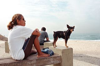 Woman rests on a bench with her little black Pinscher dog on Ipanema beach, Rio de Janeiro, Brazil